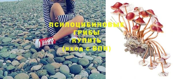 ГАЛЛЮЦИНОГЕННЫЕ ГРИБЫ Козловка