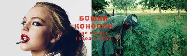 дурь Киреевск