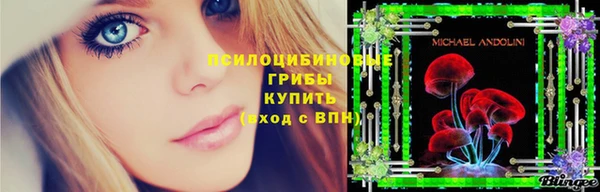 PSILOCYBIN Киренск