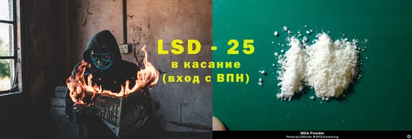 ГАЛЛЮЦИНОГЕННЫЕ ГРИБЫ Козловка
