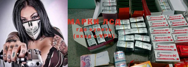 прущие грибы Касимов