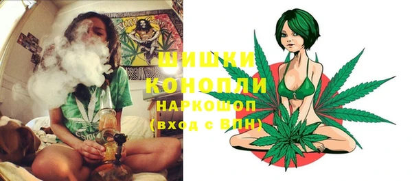 прущие грибы Касимов