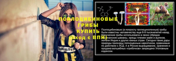 стафф Кинешма