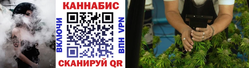 Каннабис семена  Камызяк 